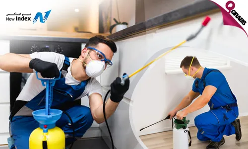 Pest Control Services!
